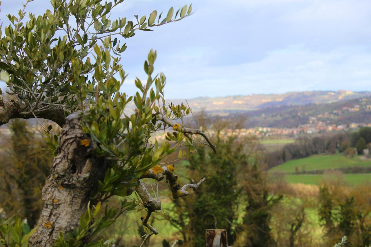 Casale Il Ventaglio Bed & Breakfast Ficulle Exterior foto